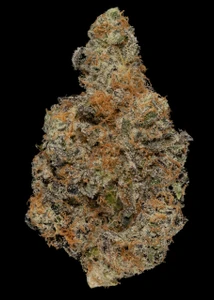 PB&J - 33% THCA Living Soil Hemp Flower