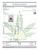 Ooh LaLa - 23% THCA Exotic Hydroponic Hemp Flower