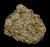 Ooh LaLa - 23% THCA Exotic Hydroponic Hemp Flower