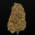 LANDRACE BUNDLE - OG COLLECTION