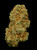 LANDRACE BUNDLE - OG COLLECTION