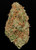 LANDRACE BUNDLE - OG COLLECTION