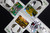 LANDRACE BUNDLE - OG COLLECTION