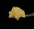 White Widow Badder Concentrate  - 89.4% THCA - Sativa