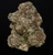 Top Shelf THCa Flower - Bulk Pounds