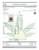Dantes Wrath - 28% THCA Living Soil Hemp Flower