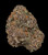 Cheerioz - 30% THCa Living Soil Hemp Flower