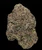 Blue Taffy - 31% THCa Living Soil Hemp Flower