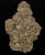 Cookies N Cream - 29% THCA Living Soil Hemp Flower