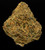 Red Mandarin - 25% THCA Living Soil Hemp Flower