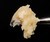 Ice Cream Cake Cold Cure Live Rosin - 81% THCA
