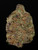 Jelly Zonut -  27% THCA Living Soil Hemp Flower