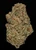 Lemonatti - 30% THCA 30% THCA Living Soil Hemp Flower