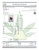 Lemon Cherry Pie – 31% THCa Living Soil Hemp Flower
