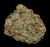 Ohh La La - 30% THCA Exotic Hydroponic Hemp Flower