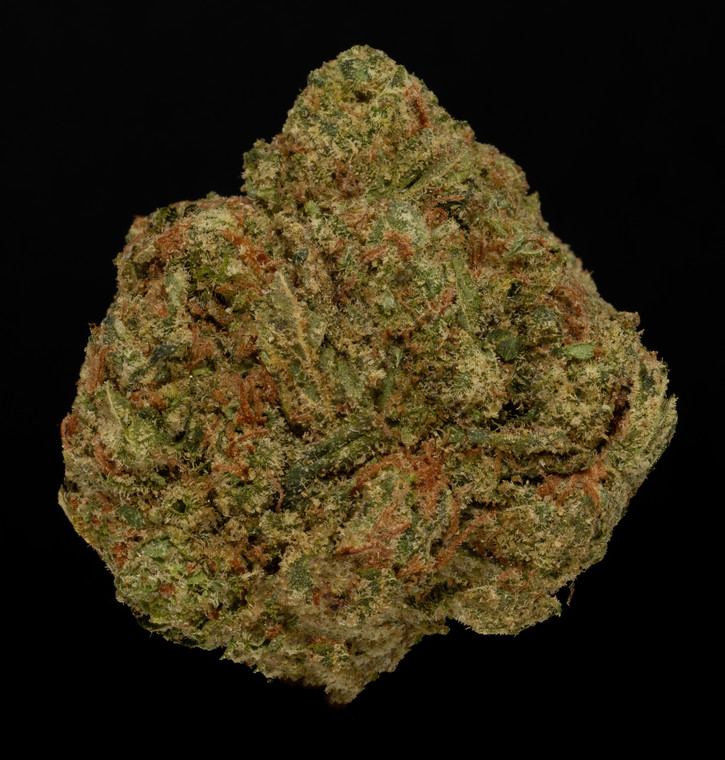 Orange Julius – 33% THCa Hydro Hemp Flower