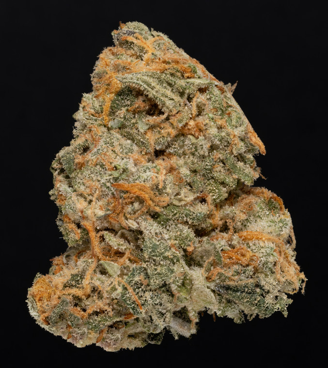 Key Lime Sherbert - 28% THCA Living Soil Hemp Flower