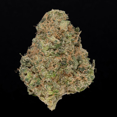 Colombia Gold THCA flower — Best Buds