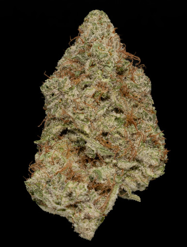 Pink Lemonade THCA flower — Best Buds