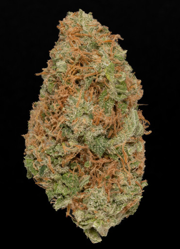 Acapulco Gold