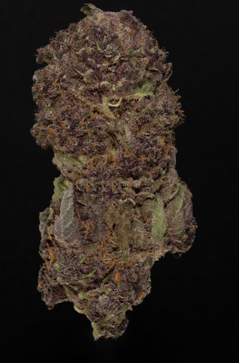 Trop Cherry Cookies THCA flower — Best Buds