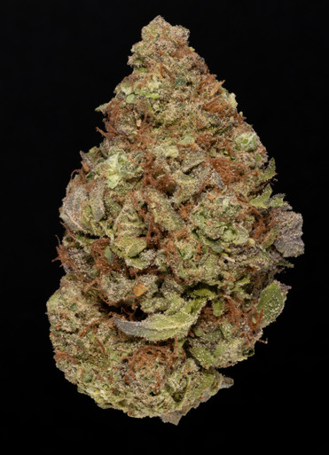 Purple Skunk THCA flower — Best Buds
