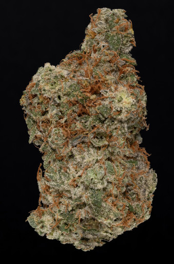 Lemon Diesel THCA flower — Best Buds