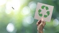 How Sustainable Is Paperboard? What You Need to Know