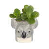 Koala Mini Pot