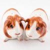 Guinea Pig Salt and Pepper Dutch