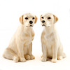 Labrador Salt and Pepper Gold
