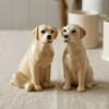 Labrador Salt and Pepper Gold