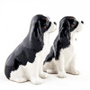 Cavalier King Charles Spaniel Salt and Pepper Tri