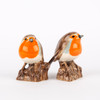 Robin Salt and Pepper