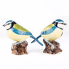 Blue Tit Salt and Pepper