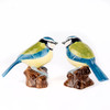Blue Tit Salt and Pepper