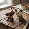 Wren Salt and Pepper