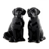 Labrador Salt and Pepper Black