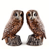 Tawny Owl salt and pepper