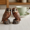 Tawny Owl salt and pepper