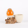 Robin Egg Cup