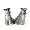 Schnauzer Salt and Pepper