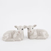 Lamb Salt & Pepper