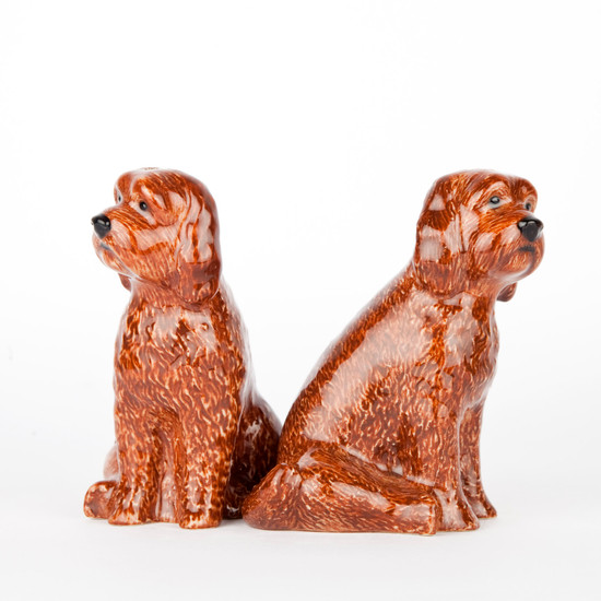 Cockapoo Salt and Pepper Red