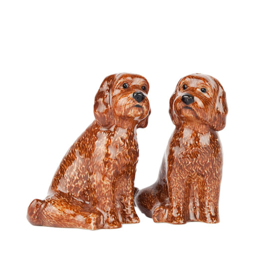 Cockapoo Salt and Pepper Red Cockapoo Salt and Pepper Red