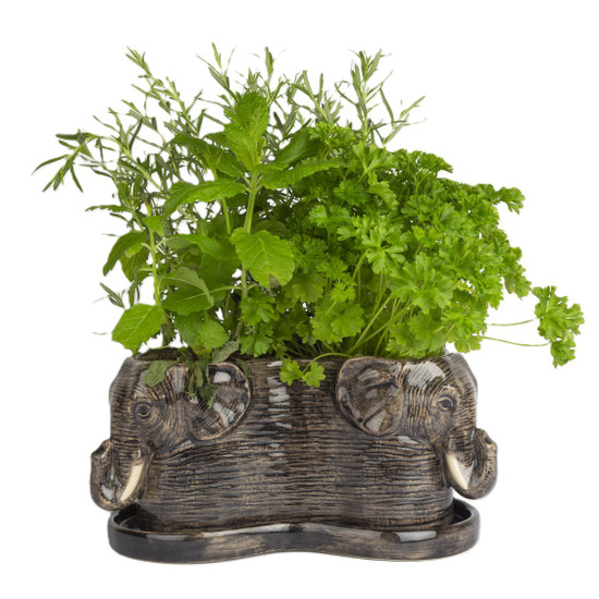 Elephant Tri Planter
