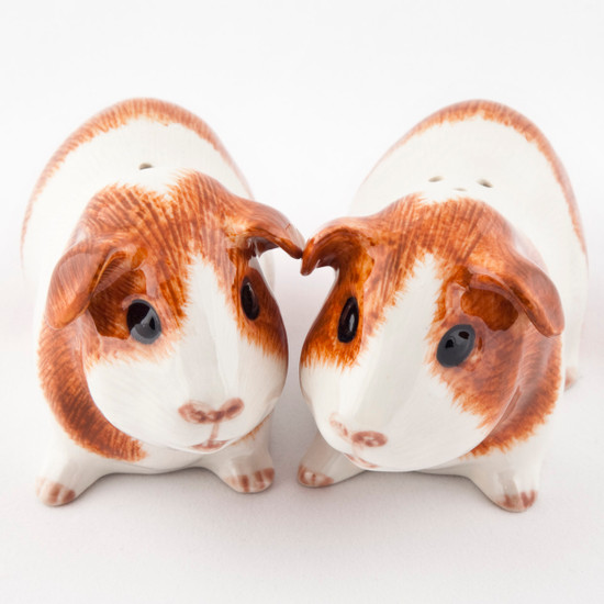 Guinea Pig Salt and Pepper Dutch