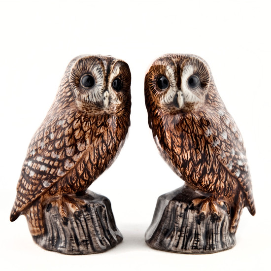 Tawny Owl salt and pepper