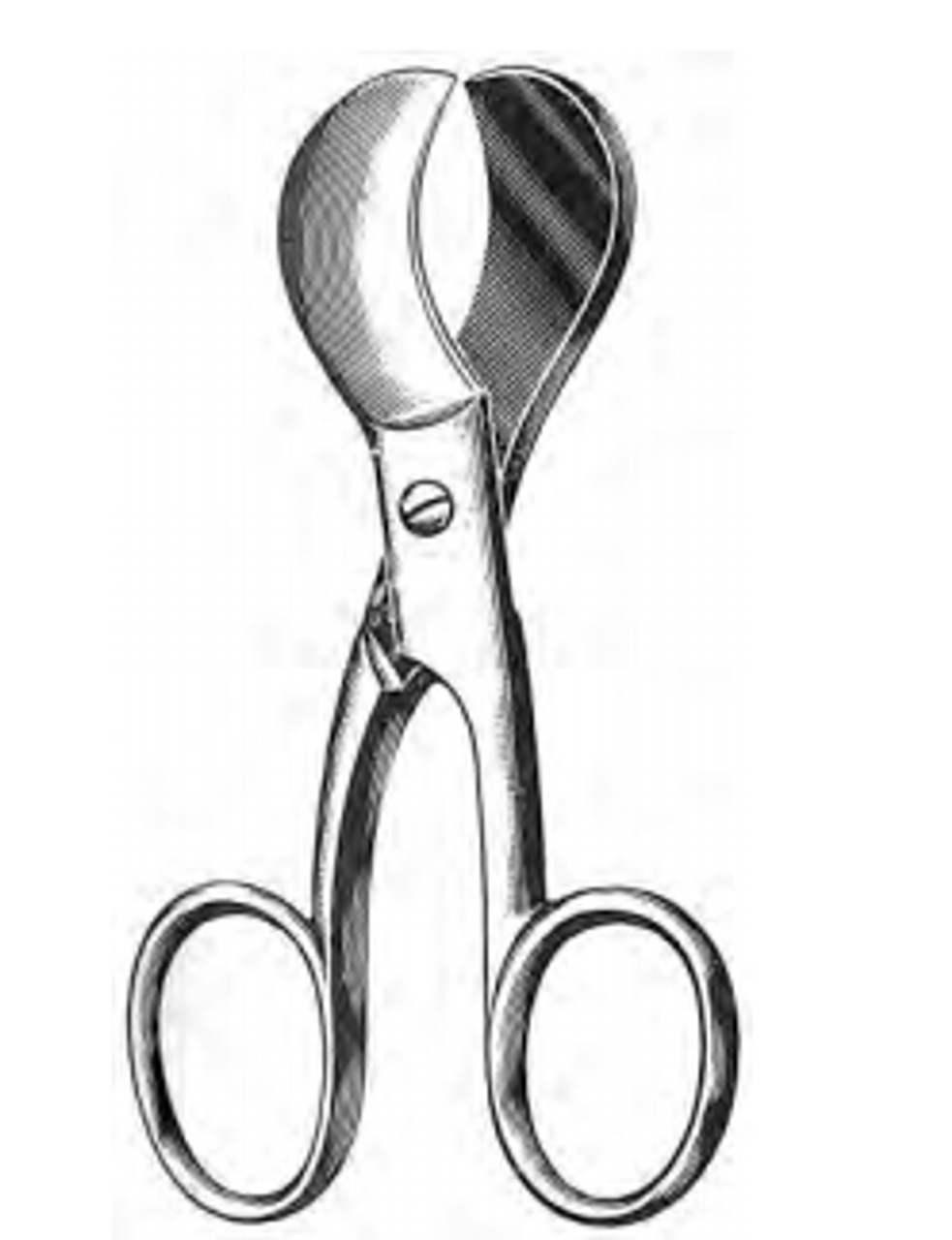 Umbilical Cord Scissors 4 (USA Pattern)