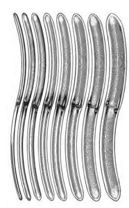 HEGAR Uterine Dilator, DOUBLE END, 15/16mm, (19.1cm) .7-1/2"
